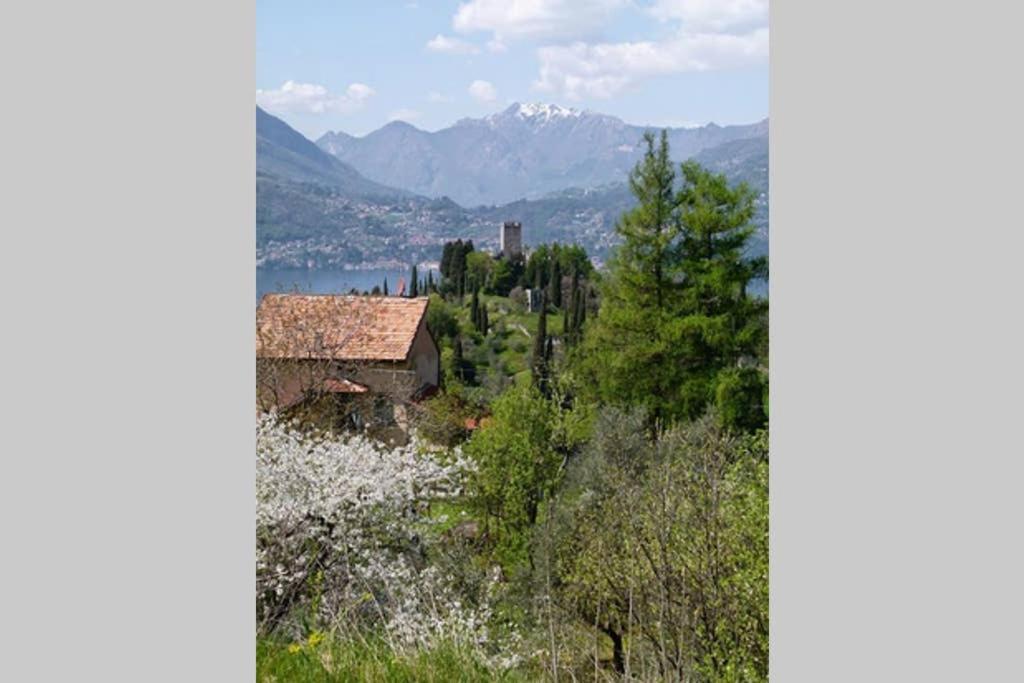Cosy Place Villa Perledo Exterior foto